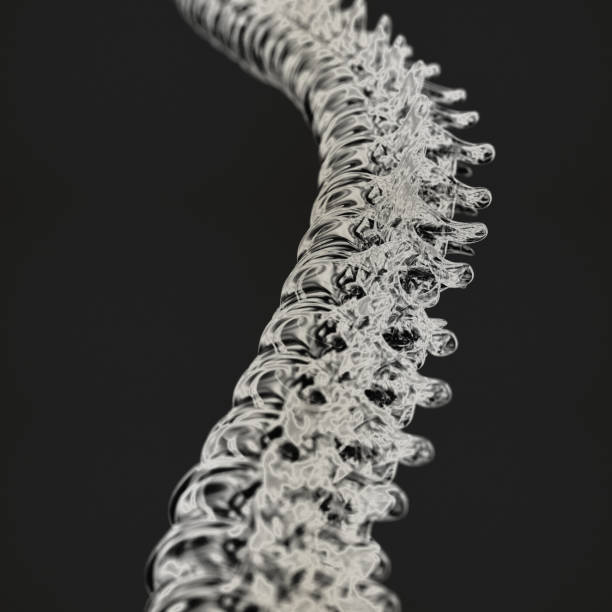istock Human spine made from glass. Anatomy 3D illustration. 518819952