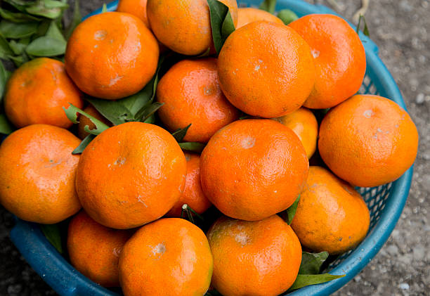 istock Fresh exotic tropical fruits 518820800
