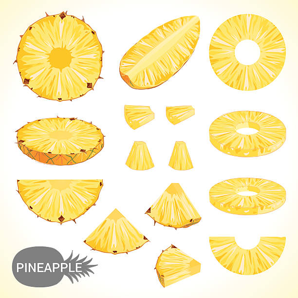 illustrazioni stock, clip art, cartoni animati e icone di tendenza di set di ananas in vari stili formato vettoriale - ananas