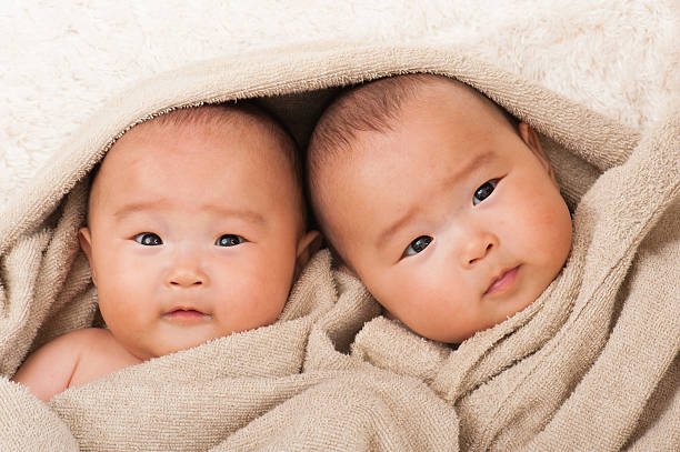 japanese, baby, twins - eeneiige tweeling stockfoto's en -beelden