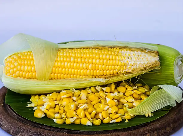 Photo of Corns