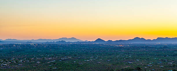 istock sunset with beautiful green cacti in landscape 518831353