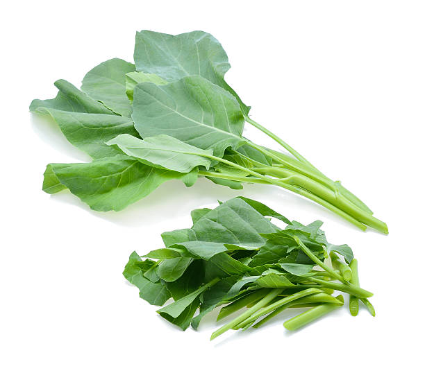 istock Chinese Broccoli, Chinese Kale on white background 518831390