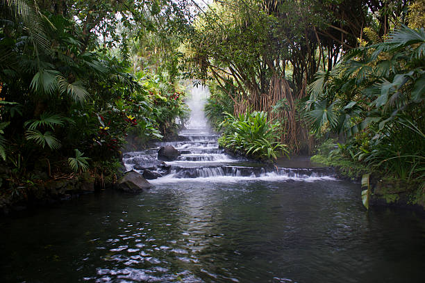 hot springs - tropical climate waterfall formal garden ornamental garden photos et images de collection