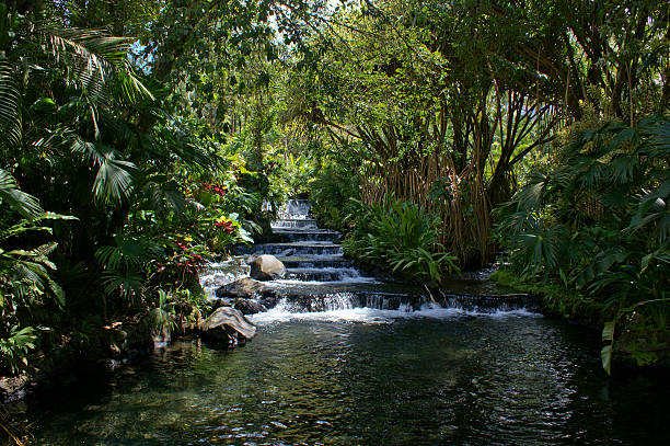 hot springs - tropical climate waterfall formal garden ornamental garden photos et images de collection