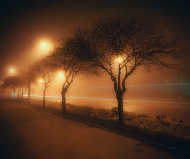 istock Night city street 518831640
