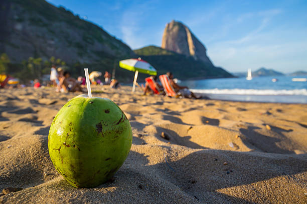 Coconut and beach in Rio de Janeiro Brazil