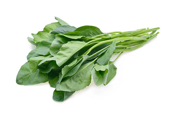 istock Chinese Broccoli, Chinese Kale on white background 518832254