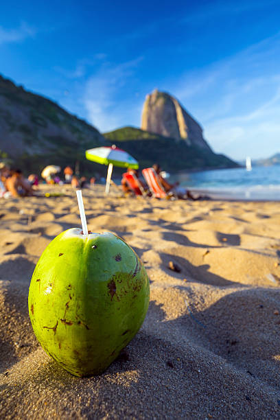 kokosowe i plaża w rio de janeiro - brazil lagoa water sea zdjęcia i obrazy z banku zdjęć