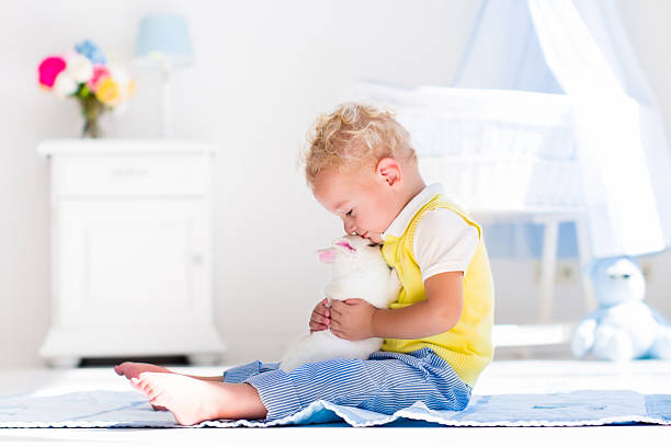 istock Sweet little boy playing with rabbit pet 518832650