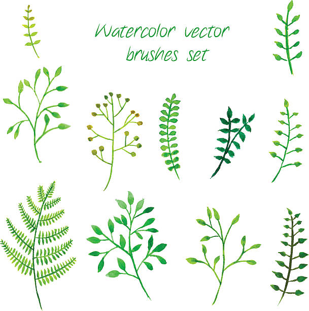 vektor-aquarell-pinsel satz. - wallpaper brush paintbrush equipment green stock-grafiken, -clipart, -cartoons und -symbole