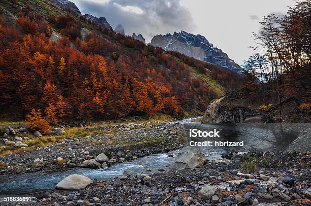 Autumn Fall In Parque Nacional Torres Del Paine Chile Stock Photo - Download Image Now