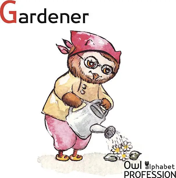 Vector illustration of Alphabet professions Owl - Gardener character Vector Watercolor.