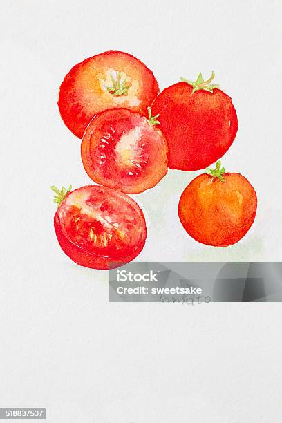 Tomato Watercolor Painted Stock Illustration - Download Image Now - Tomato, Art Product, Brush Stroke