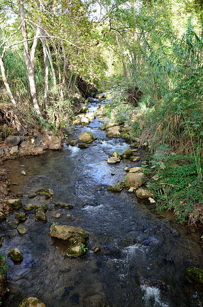 istock Hermon river in summer, Israel. 518838103