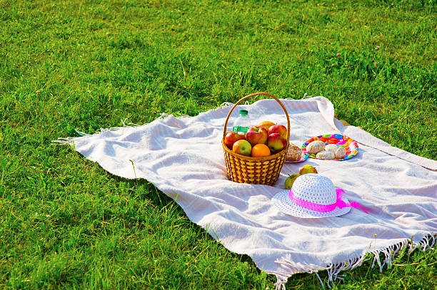 istock Picnic on the lawn. 518841322