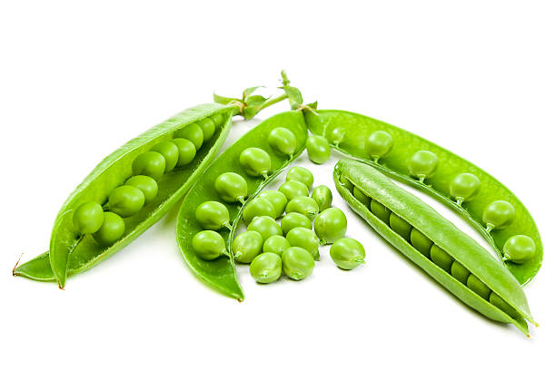 istock Green peas in the pod on white background. 518842388