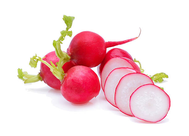 istock Small garden radish isolated on white background 518842444