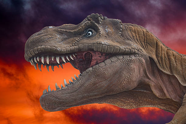 istock dinosaur trex close up on inferno background 518843442