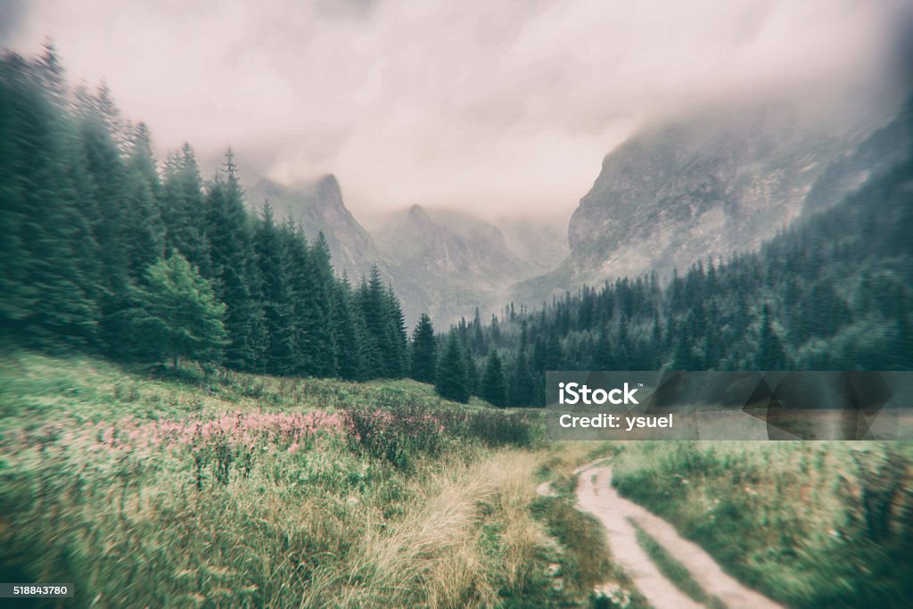 Viaje a las montañas - Foto de stock de Montaña libre de derechos