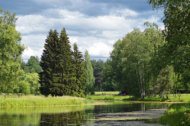 istock Summerly a suburban landscape with a pond. 518844136