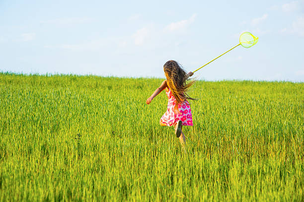 istock Girl with a butterfly net. 518844460
