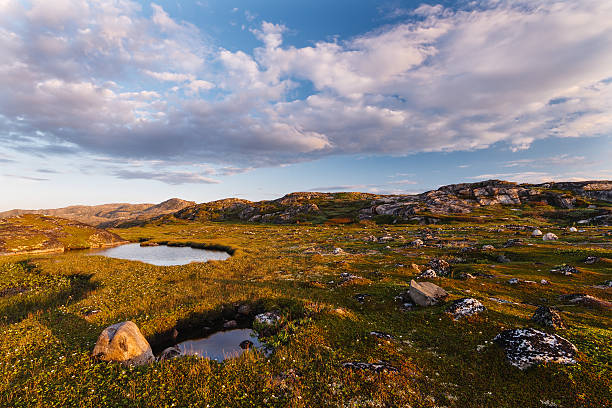 istock Small lake behind a polar circle 518844560