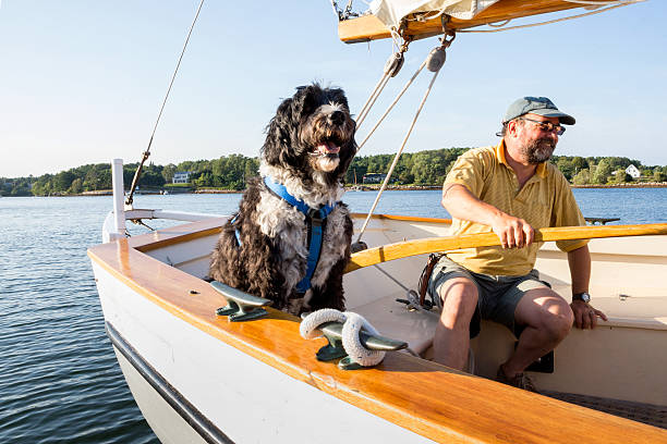 istock Senior Man and his Dog 518853803