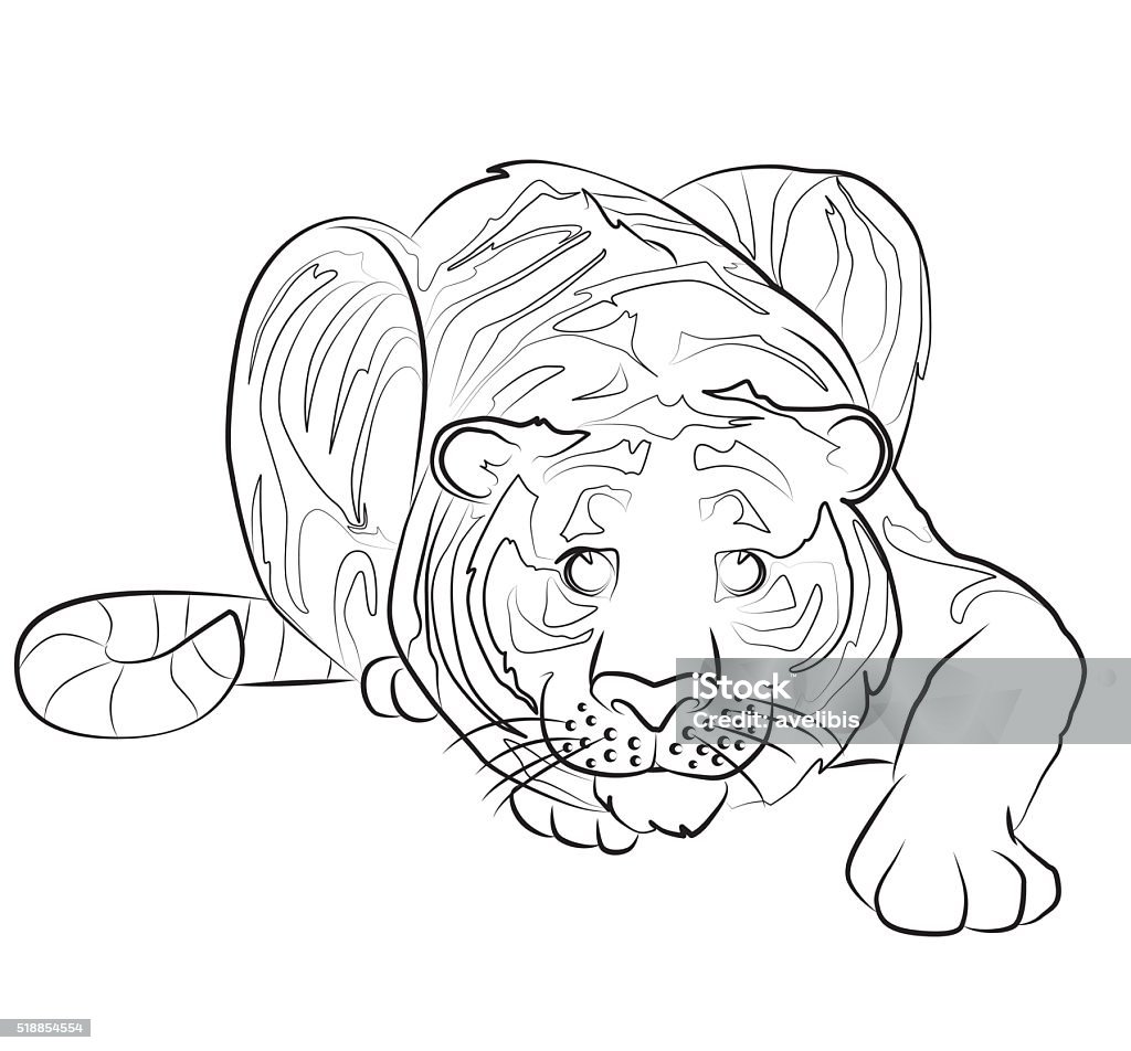 Hình Ảnh Đen Trắng Của Một Con Hổ Hình minh họa Sẵn có - Tải xuống ...