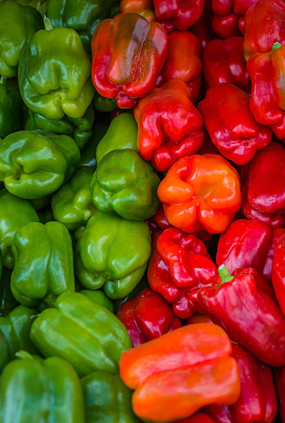 istock Ehxibition of red and green peppers 518855713