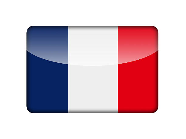 French flag in the form of a glossy icon.