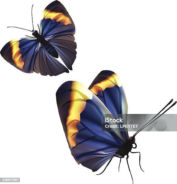 Ilustración de Mariposa Oakleafvector Naranja y más Vectores Libres de Derechos de Animal - Animal, Belleza, Belleza de la naturaleza