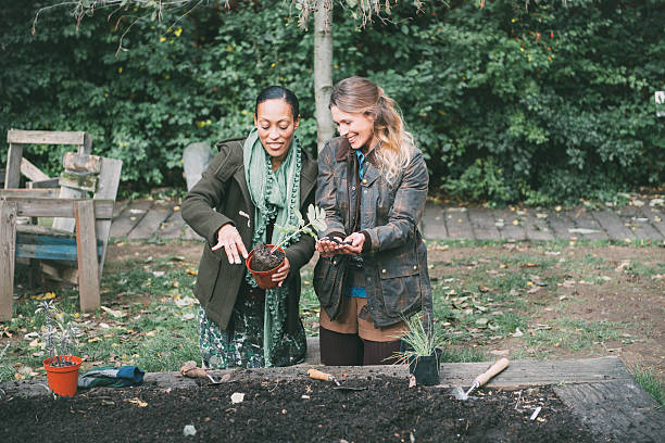 istock Friends working in the garden 518857947