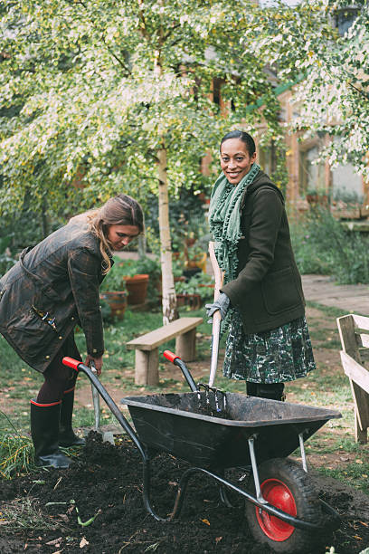 istock Friends working in the garden 518857949