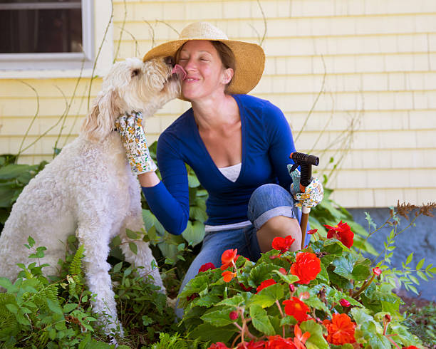 istock Woman and her Dog 518858339