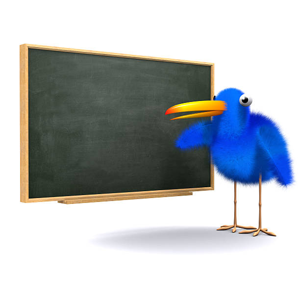 istock 3d Bluebird at the blackboard 518858445