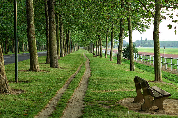 Path in a park of Caen (Calvados, Normandy, France) in a summer evening