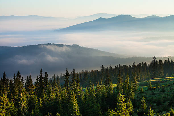 Mist over Carpathian mountains stock photo