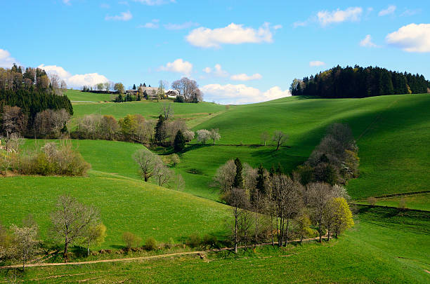 istock Hills around St Peter,Black Forest, Germany 518867224