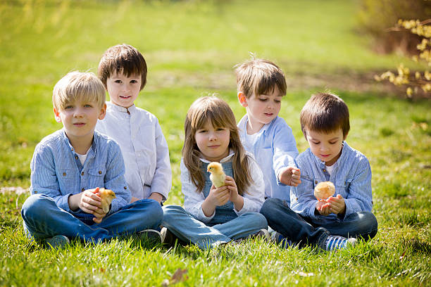 eine gruppe von der vorschule, freunden und familienmitgliedern, spielen - baby chicken human hand young bird bird stock-fotos und bilder