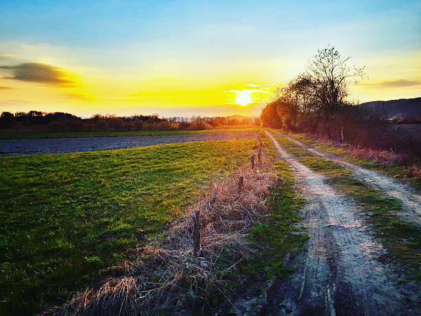 istock Country road towards the sunset 518870984
