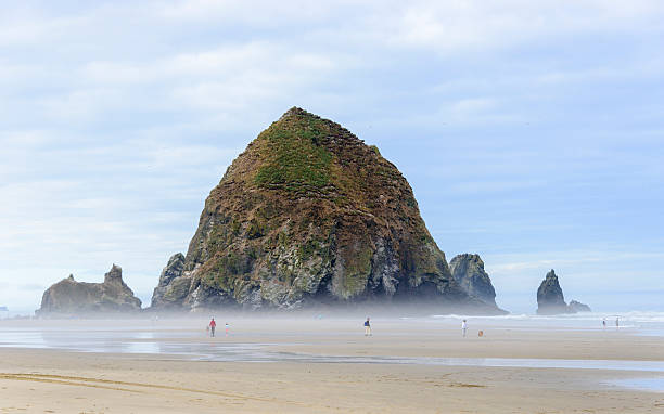 istock XXXL: People enjoying a day on the beach 518873009