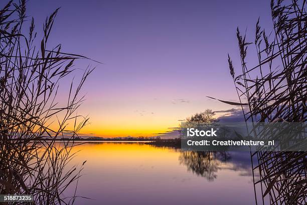 Silhouette Of Reed With Serene Lake During Sunset Stock Photo - Download Image Now - Backgrounds, Beauty In Nature, Blue
