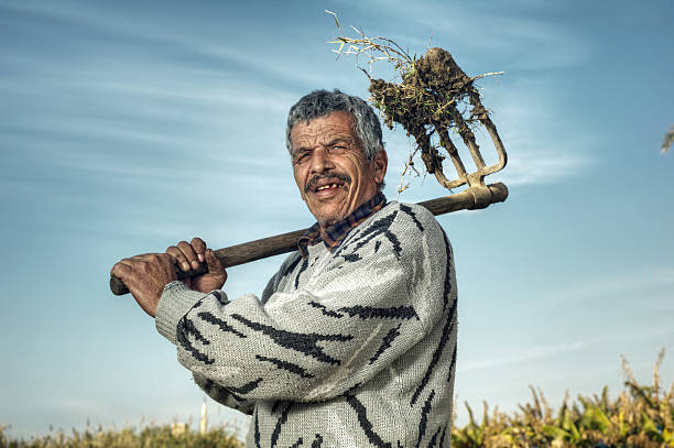Senior Farmer holding hay fork in the fields