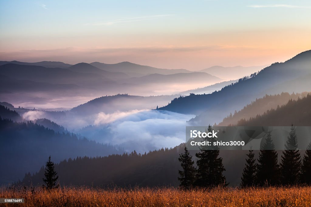fog and cloud mountain valley landscape fog and cloud mountain valley landscape, Ukraine Fog Stock Photo