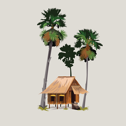 palm trees with hut in asian countryside.