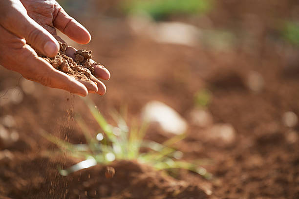 istock Farmer's Hands Pouring Soil On Land 518877275
