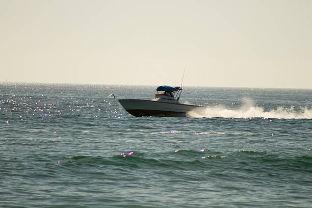 istock Seagull and Life Guard Boat 518878667