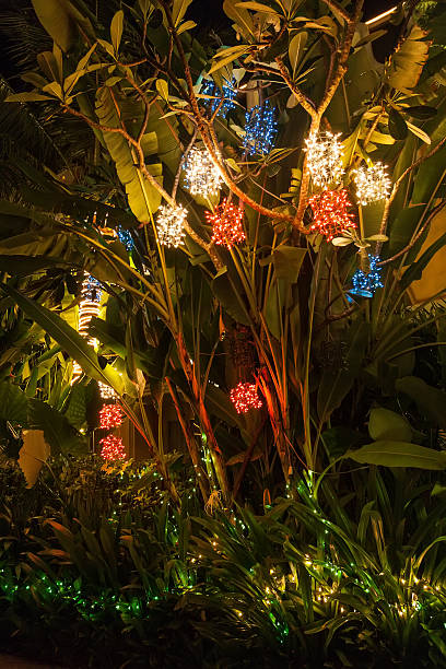illuminations de noël sur un palmier à phuket. - christmas palm tree island christmas lights photos et images de collection
