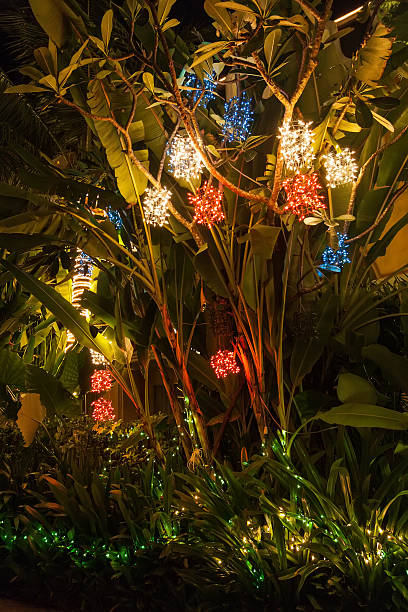 luzes de natal em uma folha de palmeira em phuket. - christmas palm tree island christmas lights - fotografias e filmes do acervo